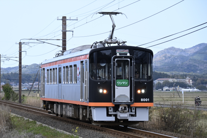 一畑電車8000系電車 8001 松江イングリッシュガーデン前駅 鉄道フォト