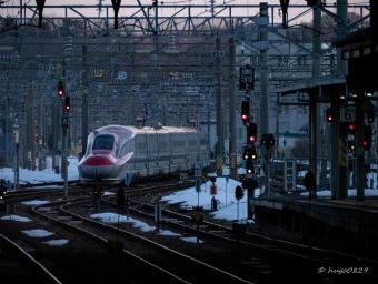 JR東日本 E6系新幹線電車 こまち(新幹線) 鉄道フォト・写真 by hugo（ふご）さん 秋田駅：2022年03月10日17時ごろ
