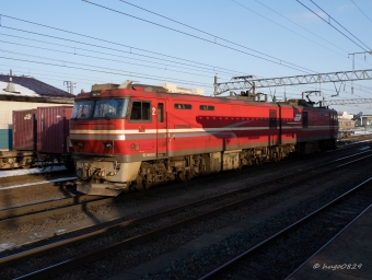 JR貨物 EH800形 EH800-16 鉄道フォト・写真 by hugo（ふご）さん 五稜郭駅 (JR)：2022年03月10日06時ごろ