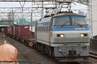 JR貨物 国鉄EF66形電気機関車 EF66 118 鉄道フォト・写真 by Silence-Suzumeさん 西浦和駅：2023年10月08日11時ごろ