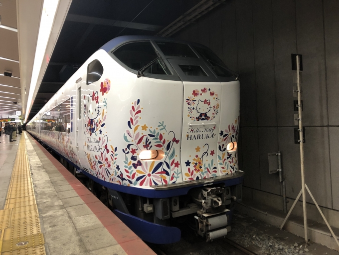 JR西日本281系電車 はるか(特急) 鉄道フォト・写真 by 猫太郎さん 天王寺駅 (JR)：2022年03月15日19時ごろ