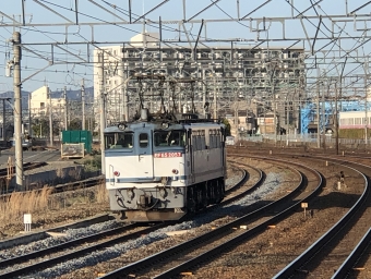 JR貨物 国鉄EF65形電気機関車 EF65-2057 鉄道フォト・写真 by 猫太郎さん 岸辺駅：2022年03月27日16時ごろ