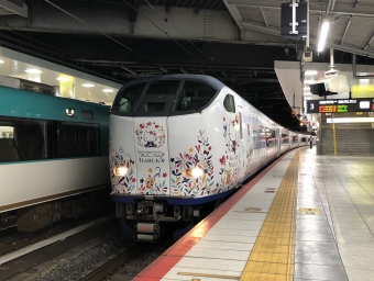 JR西日本 クハ281形 はるか(特急) クハ281-4 鉄道フォト・写真 by 猫太郎さん 新大阪駅 (JR)：2022年03月31日19時ごろ