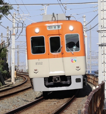 阪神電鉄 阪神8201形(Tc) 8502 鉄道フォト・写真 by 猫太郎さん ：2022年04月30日16時ごろ