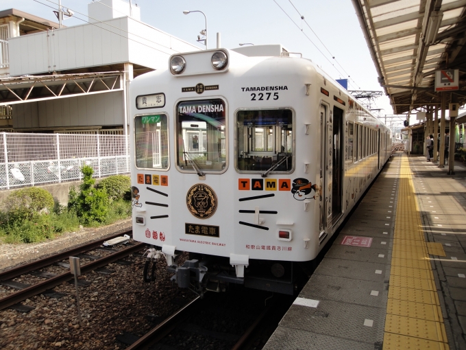 和歌山電鐵2270形電車 たま電車 2275 鉄道フォト・写真 by I37さん 和歌山駅 (和歌山電鐵)：2013年04月10日15時ごろ