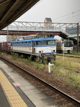 JR九州 国鉄EF81形電気機関車 鉄道フォト・写真 by NR0319さん 鳥栖駅：2022年10月09日13時ごろ