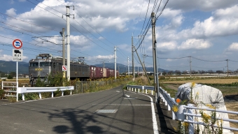 JR九州 国鉄EF81形電気機関車 鉄道フォト・写真 by NR0319さん 神埼駅：2022年10月23日13時ごろ