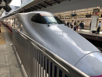 JR東日本 E2系新幹線 やまびこ(新幹線) 鉄道フォト・写真 by NR0319さん 東京駅 (JR)：2023年09月26日09時ごろ