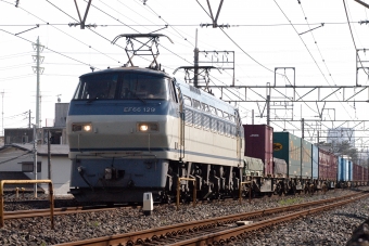 JR東日本 EF66-129 鉄道フォト・写真 by とっしーさん 土呂駅：2022年04月11日15時ごろ