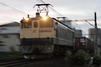 JR貨物 鉄道フォト・写真 by とっしーさん 北上尾駅：2022年09月10日06時ごろ