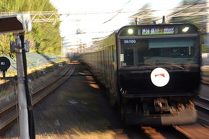 JR東日本 鉄道フォト・写真 by とっしーさん 原宿駅：2022年10月21日07時ごろ