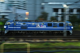 JR貨物 EF210形 EF210-116 鉄道フォト・写真 by とっしーさん さいたま新都心駅：2023年11月07日06時ごろ