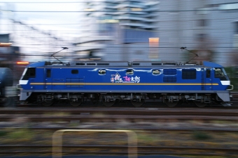 JR貨物 鉄道フォト・写真 by とっしーさん さいたま新都心駅：2023年12月14日06時ごろ