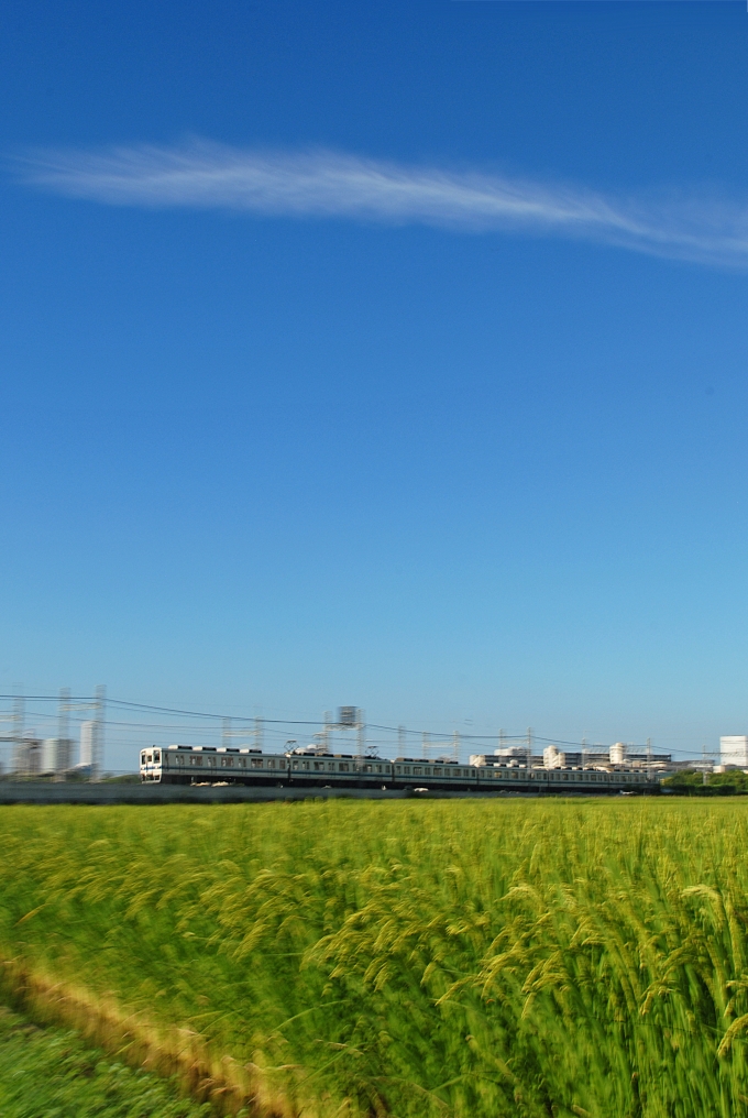 鉄道フォト・写真：東武鉄道  大宮公園駅 鉄道フォト・写真 by とっしーさん - 撮影日 2024/08/12 06:30