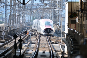 JR東日本 E611形(M1sc) E611-20 鉄道フォト・写真 by 浮雲さん 盛岡駅 (JR)：2024年06月20日15時ごろ