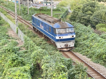 JR貨物 EF210形 EF210-118 鉄道フォト・写真 by たがないさん 横浜駅 (JR)：2023年09月29日16時ごろ