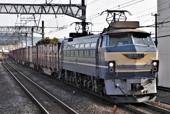JR貨物 EF66-27 鉄道フォト・写真 by こむぎさん 小田原駅 (JR)：2021年03月14日08時ごろ