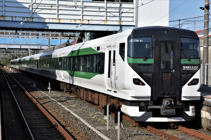 JR東日本E257系電車 新宿わかしお クハE257-5105 安房鴨川駅 鉄道