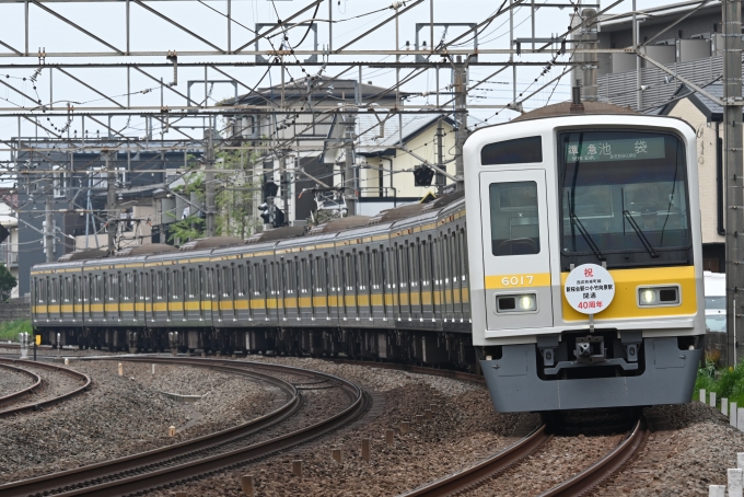 鉄道フォト・写真：西武鉄道 西武6000系電車 6017 所沢駅 鉄道フォト・写真 by こむぎさん - 撮影日 2024/04/16 07:53