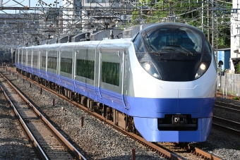 JR東日本 E657系 鉄道フォト・写真 by こむぎさん 松戸駅 (JR)：2024年06月05日16時ごろ