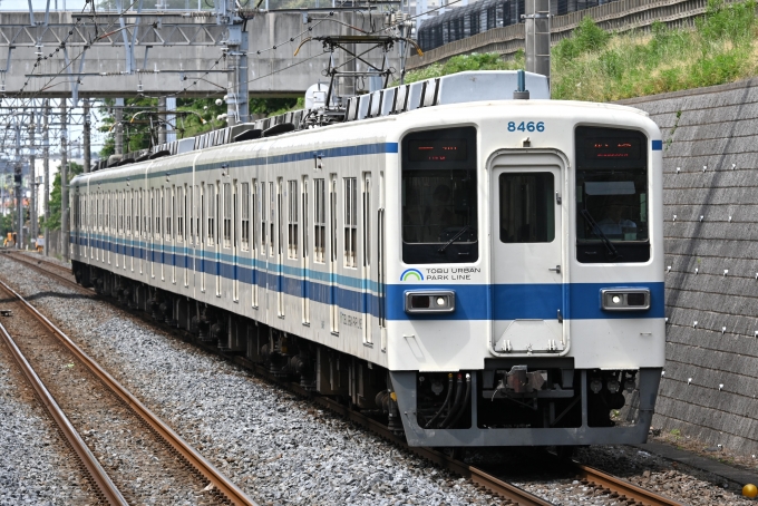 鉄道フォト・写真：東武鉄道  新鎌ヶ谷駅 鉄道フォト・写真 by こむぎさん - 撮影日 2024/06/06 13:43