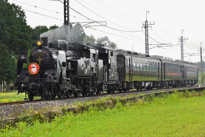 鉄道フォト・写真：東武鉄道 国鉄C11形蒸気機関車 C11 325 大桑駅 (栃木県) 鉄道フォト・写真 by こむぎさん - 撮影日 2023/09/02 09:53