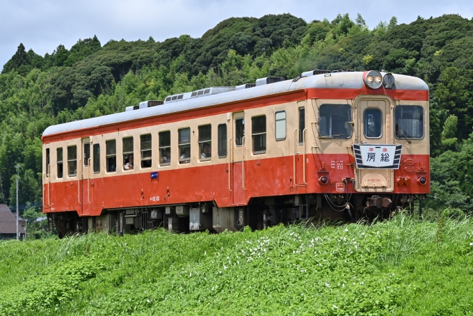 鉄道フォト・写真：いすみ鉄道  国吉駅 鉄道フォト・写真 by こむぎさん - 撮影日 2024/07/15 11:10