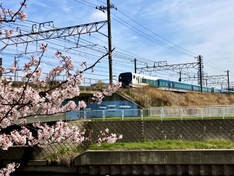 JR東日本 踊り子(特急) 鉄道フォト・写真 by ATさん 辻堂駅：2022年04月02日10時ごろ