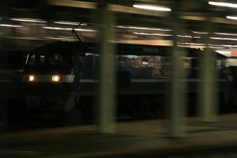 JR貨物 EF210形 EF210-115 鉄道フォト・写真 by わかめさん 名古屋駅 (JR)：2022年04月28日19時ごろ