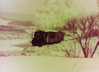 国鉄9600形蒸気機関車 69625 鉄道フォト・写真 by 南フナさん ：1975年03月11日00時ごろ