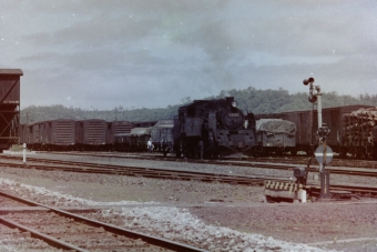 国鉄C11形蒸気機関車 C11 172 鉄道フォト・写真 by 南フナさん ：1972年08月05日13時ごろ