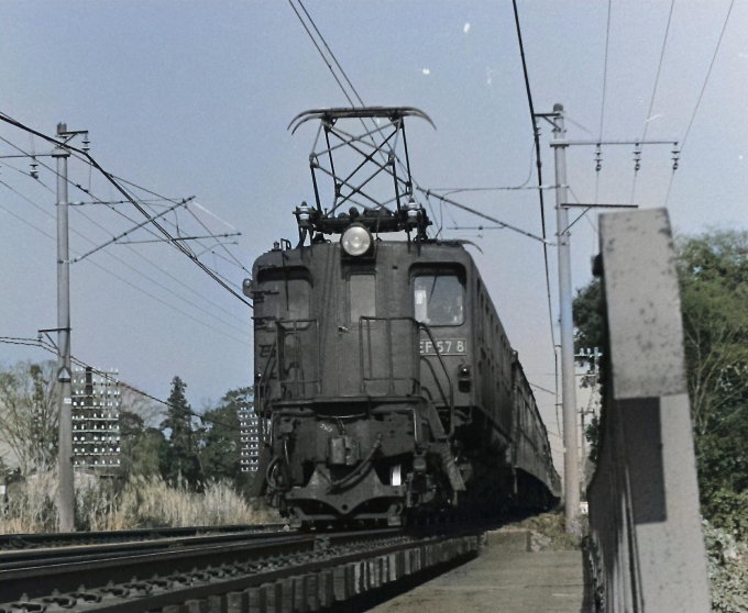 国鉄EF57形電気機関車 鉄道フォト・写真 by 南フナさん 蓮田駅：1973年11月23日00時ごろ