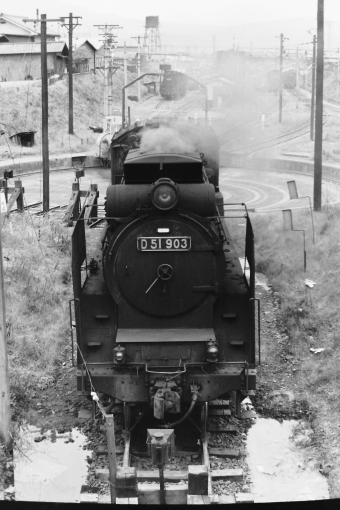国鉄D51形蒸気機関車 鉄道フォト・写真 by 南フナさん 塩尻駅：1971年05月04日00時ごろ