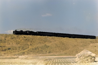 国鉄C57形蒸気機関車 鉄道フォト・写真 by 南フナさん 栗野駅：1971年12月27日00時ごろ