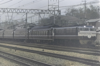 国鉄EF65形電気機関車 さくら(特急) EF65 鉄道フォト・写真 by 南フナさん 戸塚駅 (JR)：1974年03月25日00時ごろ
