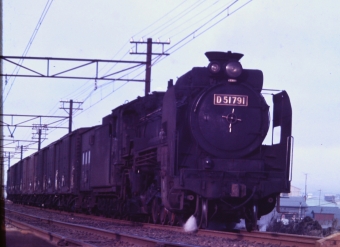 国鉄D51形蒸気機関車 鉄道フォト・写真 by 南フナさん 鶴見駅：1970年03月25日00時ごろ