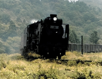 国鉄D51形蒸気機関車 鉄道フォト・写真 by 南フナさん 二ツ井駅：1971年07月29日00時ごろ