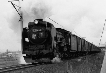 国鉄D51形蒸気機関車 鉄道フォト・写真 by 南フナさん 坂町駅：1972年03月11日00時ごろ
