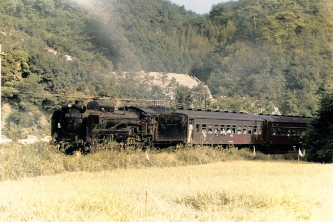 国鉄D51形蒸気機関車 鉄道フォト・写真 by 南フナさん 明覚駅：1972年10月10日00時ごろ