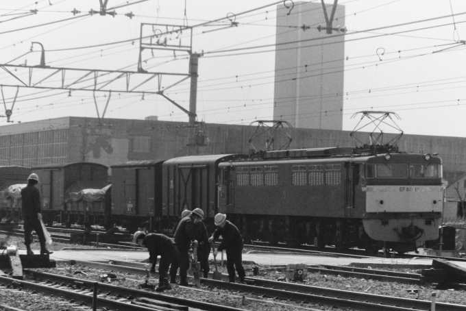 国鉄EF60形電気機関車 鉄道フォト・写真 by 南フナさん 戸塚駅 (JR)：1975年11月02日00時ごろ