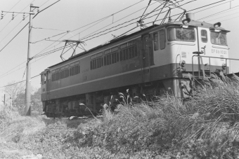 国鉄EF65形電気機関車 鉄道フォト・写真 by 南フナさん 蓮田駅：1973年11月23日00時ごろ