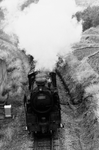 国鉄9600形蒸気機関車 鉄道フォト・写真 by 南フナさん 立野駅 (熊本県|JR)：1972年12月25日00時ごろ