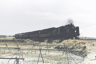 国鉄8620形蒸気機関車 鉄道フォト・写真 by 南フナさん 上菅谷駅：1972年09月23日00時ごろ