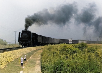 国鉄D52形蒸気機関車 鉄道フォト・写真 by 南フナさん 大沼駅 (北海道)：1972年08月05日00時ごろ