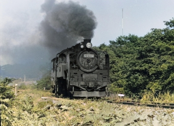 国鉄C11形蒸気機関車 鉄道フォト・写真 by 南フナさん ：1972年08月10日00時ごろ