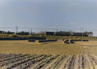 国鉄EF65形電気機関車 鉄道フォト・写真 by 南フナさん 蓮田駅：1973年11月23日00時ごろ