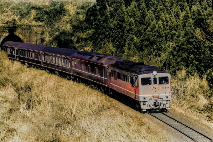 国鉄DF50形ディーゼル機関車 彗星(特急) 鉄道フォト・写真 by 南フナさん 青井岳駅：1974年03月18日00時ごろ