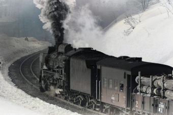 国鉄D51形蒸気機関車 鉄道フォト・写真 by 南フナさん ：1975年03月18日00時ごろ