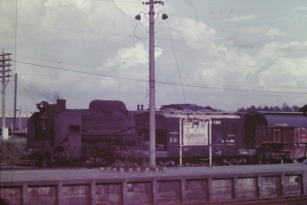 国鉄D51形蒸気機関車 鉄道フォト・写真 by 南フナさん 高麗川駅：1970年07月30日00時ごろ