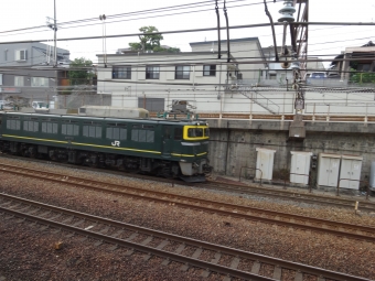 JR貨物 国鉄EF81形電気機関車 EF81 44 鉄道フォト・写真 by 294たかさん 京都駅 (JR)：2015年06月14日16時ごろ